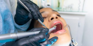 Environmental Factors and Public Health: Long-Term Effects and Solutions