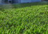 Creating a Lush Landscape: Essential Services for a Thriving Lawn