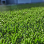 Creating a Lush Landscape: Essential Services for a Thriving Lawn