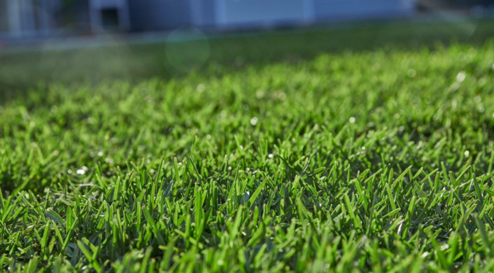 Creating a Lush Landscape: Essential Services for a Thriving Lawn